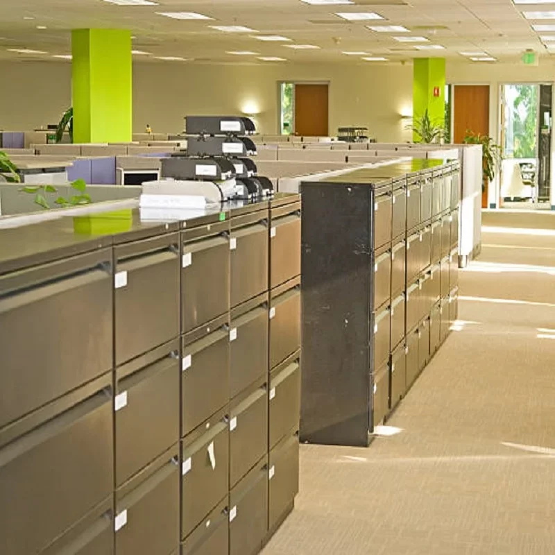 File Cabinets in Government Offices